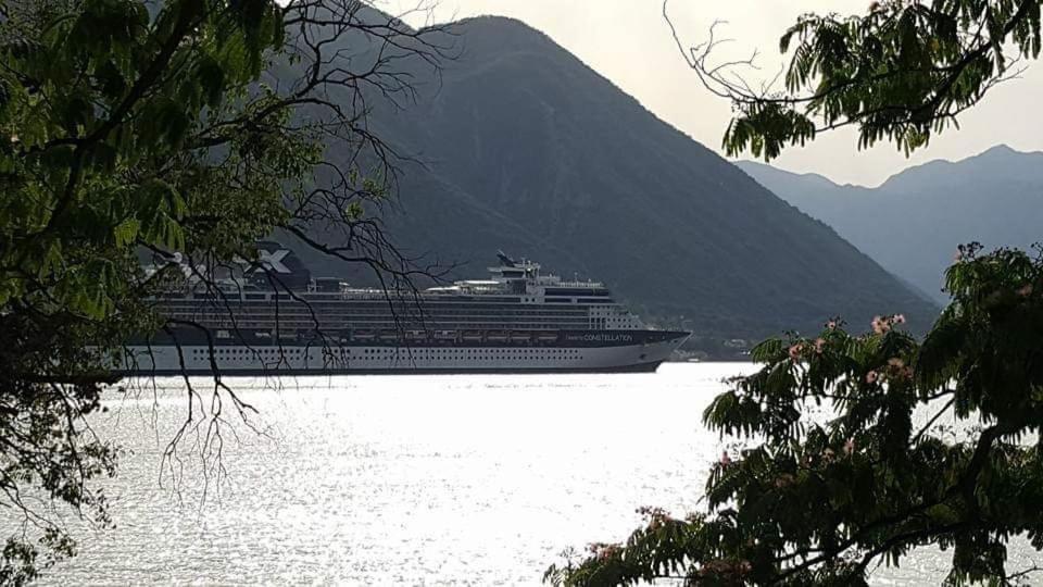 Montenegro Apartments - Private Beach Kotor Exterior photo